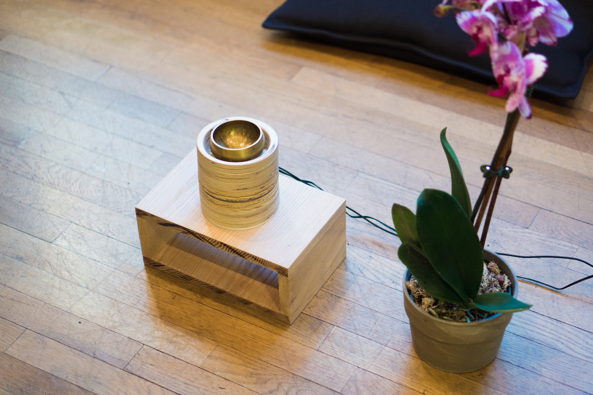 Photo of Chime sitting on a pedestal