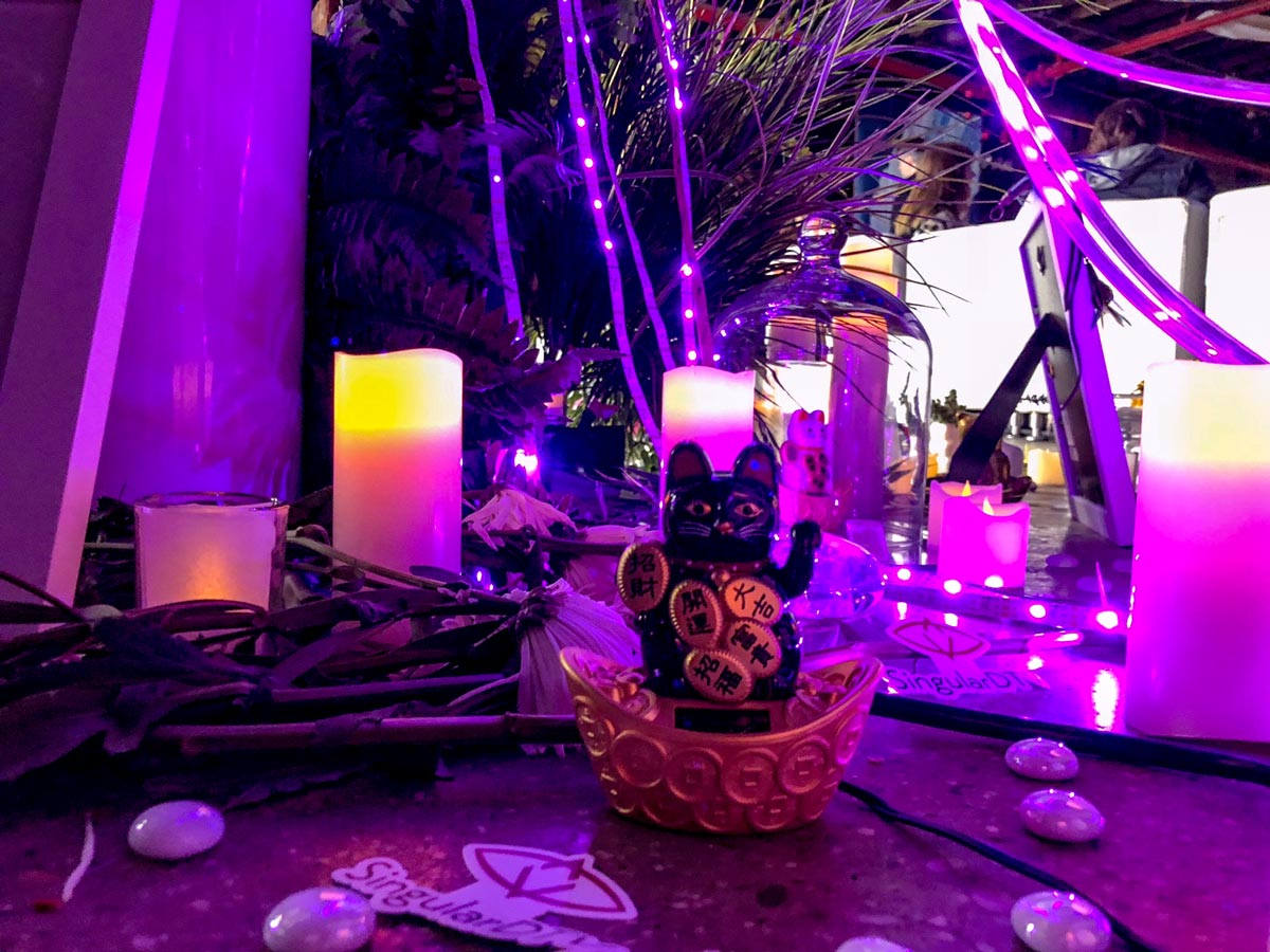 A black lucky cat among the LEDs and plants and other shrine-y things